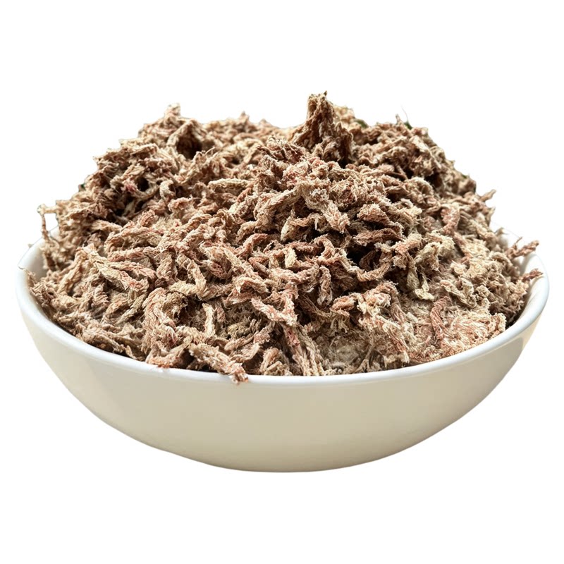 智利水苔微景观食虫草国兰蝴蝶兰