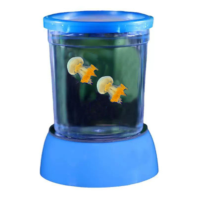 水母活物好养套餐赤月海月小宠物