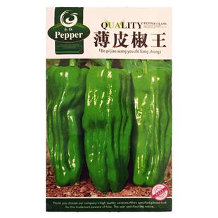 特大薄皮辣椒种子春季苏椒灯笼泡辣椒籽大虎皮椒春季四季蔬菜种孑