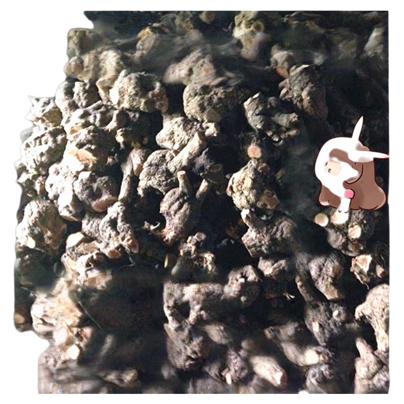 树瘤毛料手把件烟斗雕刻原材料