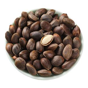 云南野生松子新鲜大颗粒散装湿松子3斤装孕妇小零食精选原味坚果