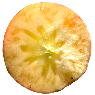 正宗高原达杠苹果脆甜化渣果香浓