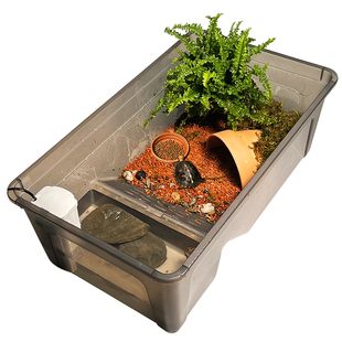 黄缘闭壳龟专用生态水陆两栖大号饲养箱造景套装半水龟带躲避龟缸