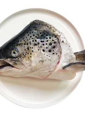 新鲜三文鱼鱼头鱼排鱼骨日料炖汤