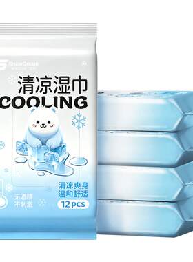 冰感降温湿巾户外运动擦汗便携装