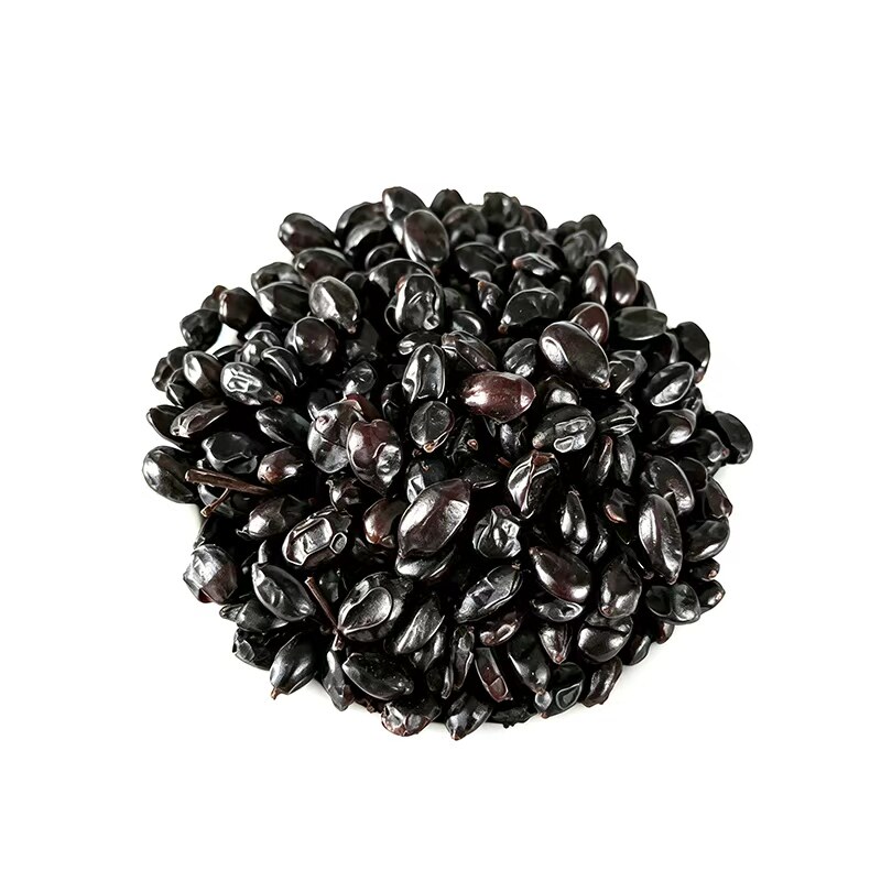 花种子绣球花种子混色花种籽四季播种好养活阳台小院盆栽约500粒