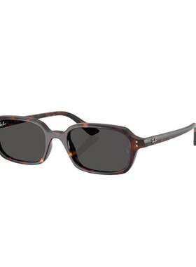 RayBan雷朋枕形板材太阳镜