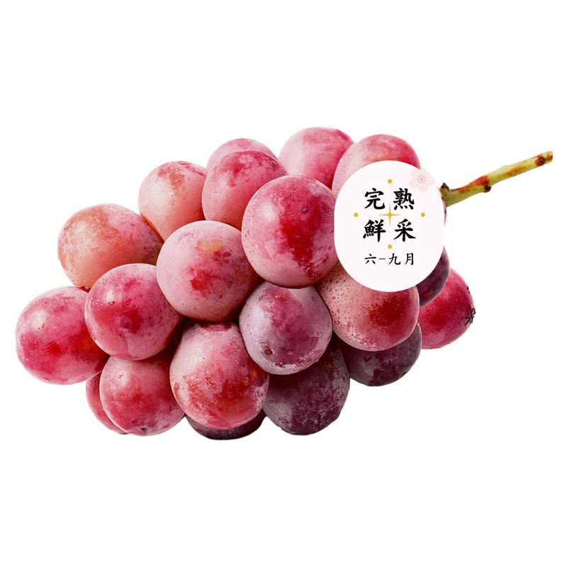 奈木果场云南妮娜皇后葡萄大理宾川红提整串现摘当季高甜顺丰礼盒