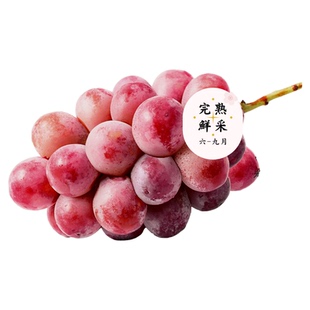 奈木果场云南妮娜皇后葡萄大理宾川红提整串现摘当季高甜顺丰礼盒