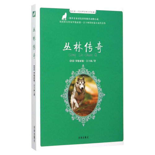 丛林传奇 每天读一点世界动物文学名著动物小说8-10-12岁童书儿童冒险故事小学生课外推荐阅读书籍畅销经典作品寒暑假书目
