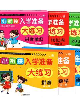 幼小衔接入学准备大练习拼音数学