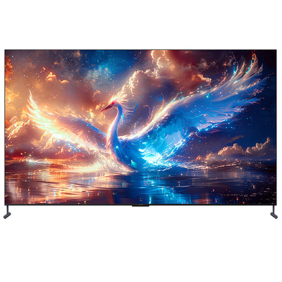 雷鸟100鹤725款百英寸影音巨幕