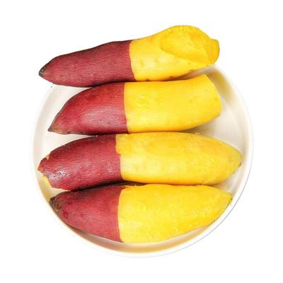 正宗临安天目山小香薯板栗红薯