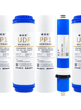适配海尔施特劳斯净水器滤芯HSNF-300M5/M1/P1/P8/P2N通用过滤芯