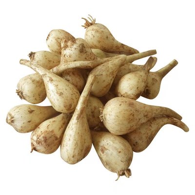 荞头种子新鲜现挖优质品种