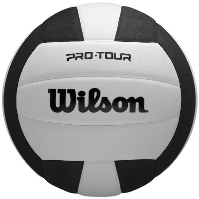 Wilson威尔胜排球中考学生专用5号比赛训练用球初中生专业硬排球