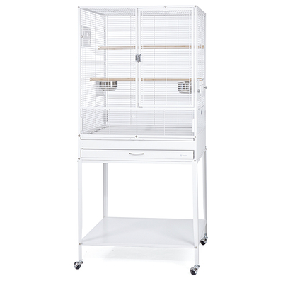 达洋简约风大型鸟笼超高性价比