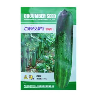 和利农正源中南杂交黄瓜种子高产花青大吊瓜种籽老品种青瓜蔬菜孑