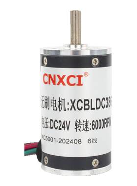 永磁直流无刷电机BLDC-38SRZ高速
