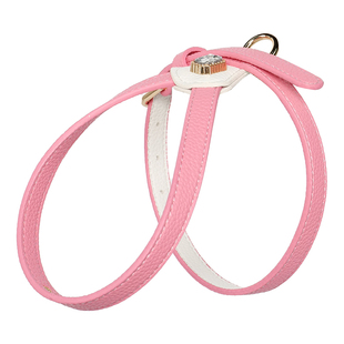 Touchdog它它猫咪胸背牵引绳猫绳防挣脱不勒脖遛猫牵猫绳外出专用