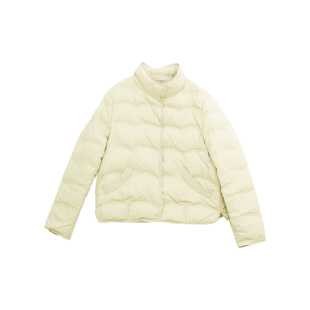 忘城N906座/山间雾气/冬季轻薄款新国标90白鸭绒保暖羽绒服外套女