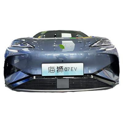 比亚迪海狮07EV中网防虫网改装