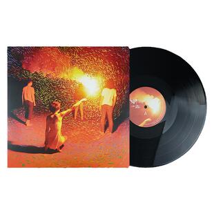 正版 后海大鲨鱼乐队 心要野 LP黑胶唱片 摇滚音乐专辑 12寸大碟