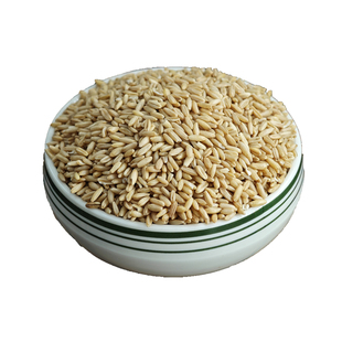东北燕麦米新米燕麦仁糙米代餐营养胚芽米可煮粥煲饭五谷杂粮米