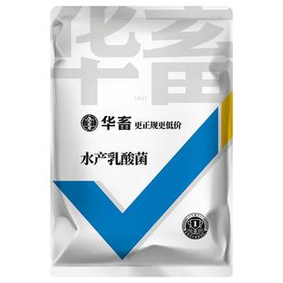 华畜乳酸菌水产养殖专用浓缩菌种鱼虾蟹池塘肥水降pH亚盐调节肠道