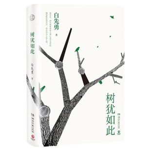 【官方正版】树犹如此 白先勇亲定选本精装珍藏版 散文随笔 代表作有寂寞的十七岁 台北人 纽约客孽子中国现当代文化散文博集天卷