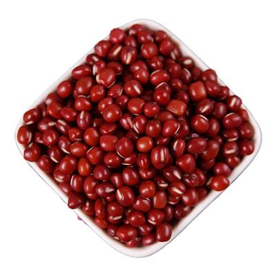 东北红小豆珍珠豆奶茶圆粒红豆