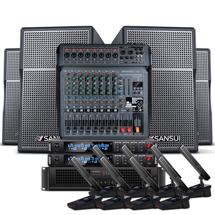 山水 会议音响KTV套装中小型专用舞台音响健身房专业壁挂音箱广播