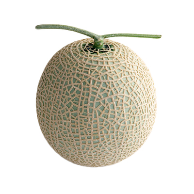 日本进口网纹甜瓜种子甜蜜羊角蜜