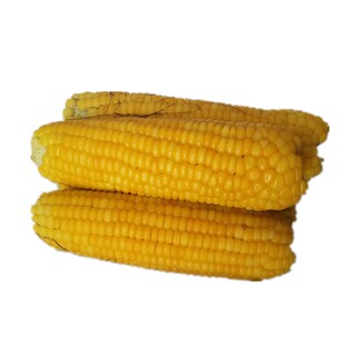 新鲜老式笨玉米老玉米苞米棒子非甜非糯现摘带皮生农家自种3斤5斤