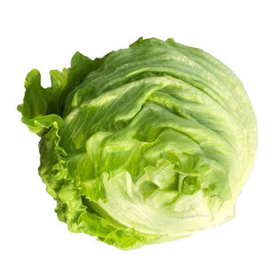 【YIKECAI】球生菜500g新鲜蔬菜沙拉食材汉堡球形西生菜 5件包邮