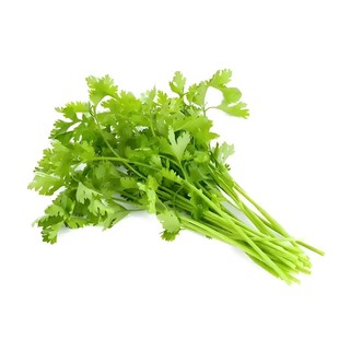 【可越冬】香菜种子四季大叶香菜芫荽种子耐寒抗冻秋冬季蔬菜种子