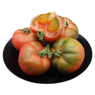 密云本地农家种植沙瓤西红柿即食农产品水果番茄自然熟现摘发500g
