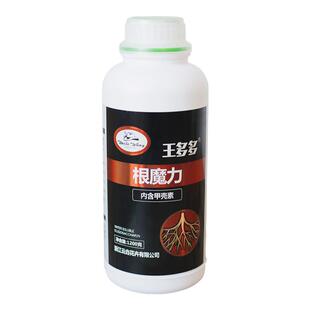 种花王大爷王多多根魔力植物营养液肥料盆栽植物 通用促生根促花