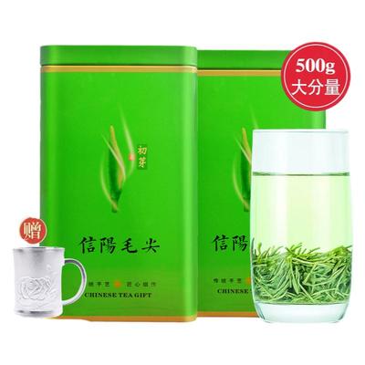 2025新茶信阳毛尖雨前茶浓香耐泡