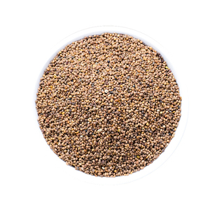 中药材菟丝子非500g内蒙兔丝子250g泡水菟丝子茶兔丝子粉纯天然