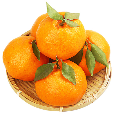 【来尝鲜】正宗四川耙耙柑4.5斤