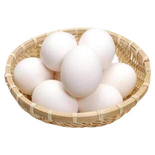 纯种柯尔可达鸭受精蛋新鲜白羽小型好养受精鸭蛋可人工孵化小黄鸭