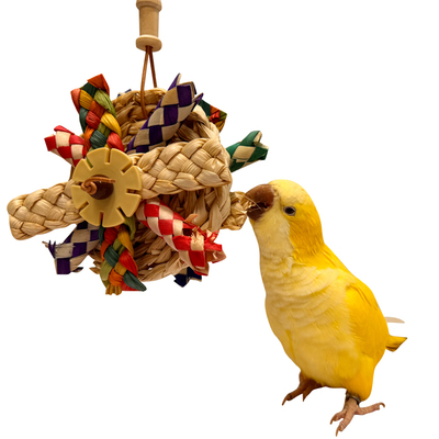 鹦鹉啃咬玩具棕榈叶串鸟解压解闷