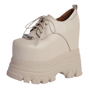 2026春秋季新款16cm内增高女鞋厚底松糕鞋小个子防水台超高跟单鞋