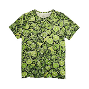 booroola夏季新款 美利奴羊毛短袖 男coolmax速干T恤户外运动徒步