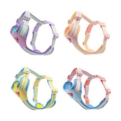 泰迪博美多巴胺外出胸背牵引绳