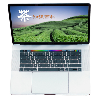 茶知识PPT课件资料茶道文化发展PowerPoint幻灯片完整内容模板