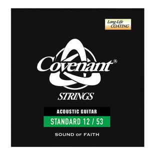 Covenant/卡弗兰特 SGA-S253/SGA-S253P 民谣吉他琴弦 12-53 镀膜