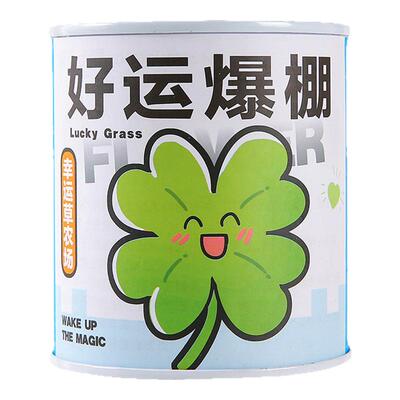 儿童植物罐头创意小盆栽