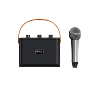 麦郎士k3便携式k歌音响太极拳广场舞教学扩音0.9公斤轻便小巧30W